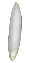 project-image